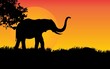 elephant standing Against a Sunset illustration, African nature with a wild elephant. Black silhouette of an elephant.