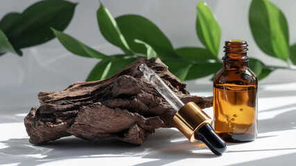 Mockup of an open glass dropper bottle near driftwood on a white gray background with leaves. Hard shadows. Cosmetic pipette on a white background. Banner