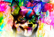 Yorkshire Terrier dog head with creative colorful abstract elements on dark background