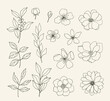 © Maria - Set of hand drawn floral elements