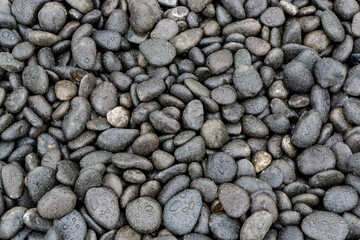 Wall Mural - Black pebbles covered with drops 