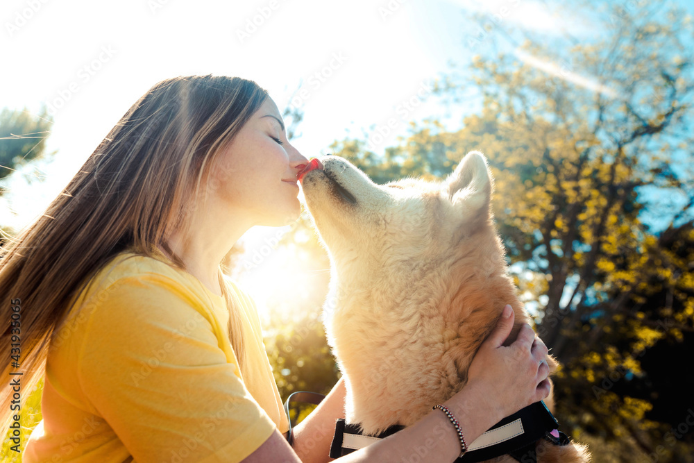 Young woman kissing her dog in the park at sunset - Love between people and dogs  - obrazy, fototapety, plakaty 
