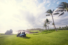 Golf Place With Gorgeous Green And Palm Tree Over Blue Sky With Ocean View.