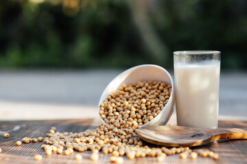 Delicious soy milk on wooden table background with Sunlight in the morning. Fresh healthy drink concept.