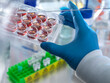 © Andrew Brookes/Westend61 - Technician holding multi well plate with blood samples in laboratory