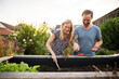 © Annika List/Westend61 - Woman sowing seed while planting in garden with boyfriend