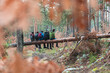 © Josu Acosta/Westend61 - Male hikers sitting together on fallen tree in autumn forest