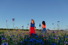 Female Friends Standing In Poppy Field While Looking Away On Sunny Day