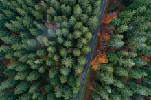 Drone View Of Highway Cutting Through Green Woodland Of Black Forest