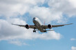 © William Perugini/Westend61 - Commercial airplane preparing to land