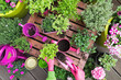 © Gaby Wojciech/Westend61 - Planting herb and vegetable garden on balcony