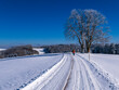 © Albrecht Wei√üer/Westend61 - Germany, Black Forest, Freiamt, Person hiking on Schillinger Berg in winter