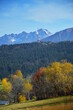 Krajobraz przestawiający drzewa w jesiennych kolorach na tle ośnieżonych gór i błękitnego nieba