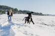 © Eva Blanco/Westend61 - Playful Great Dane dog running while having fun with male owner in snow on sunny day