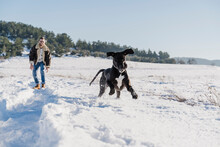 Playful Great Dane Dog Running While Having Fun With Male Owner In Snow On Sunny Day