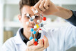 © Giorgio Fochesato/Westend61 - Male scientist working with molecular structure in laboratory