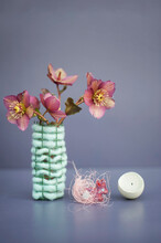 Purple Christmas Roses (Helleborus Niger) Blooming In Vase Made Of Wool And Wire