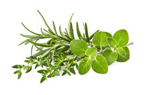 Oregano Leaves, Rosemary And Thyme Isolated On White Background. Mixture Of Herbs. Herbs Fresh  Closeup.