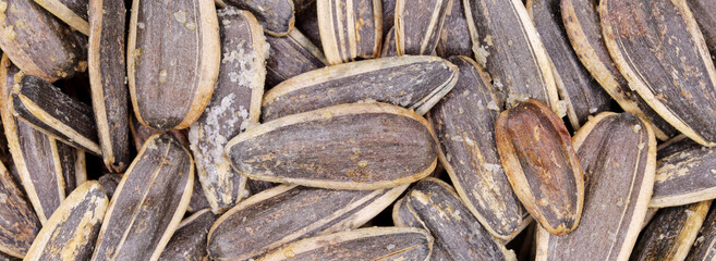 close-up of raw sunflower  seeds background