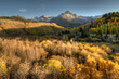 © Tandem Stock - Fall colors on County Road 7 in Southern Colorado