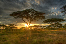 Sunrise Near Lake Ndutu In The Ndutu Conservation Area In Tanzania