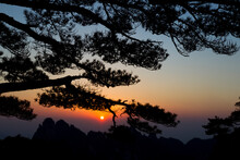 Fir Trees And Granite Spires Are Silhouetted Against A Hazy Atmosphere In Huang Shan China.