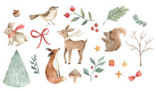 Watercolor Christmas Woodland Animals For Winter Holidays With Deer, Fox, Bird, Squirrel And Foliage 