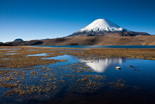 The Parinacota Volcano In Chile Rises Thousands Of Feet Above The Puna To Over000' Above Sea Level During Sunset.