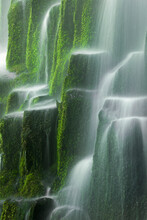 Oregon's Proxy Falls Flowing Over A Staircase Of Mossy Volcanic Rock.