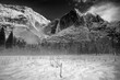© Tandem Stock - A fresh blanket of spring snow graces Yosemite Falls. Yosemite National Park, CA