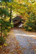 Jackson, NH: Small Covered Bridge Nestled Among Fall Trees On Picturesque Country Lane