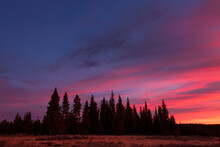 A Sunrise In The Bighorn Mountains Of North-central Wyoming Colors The Sky.
