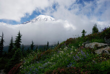 Mt. Rainier, Mount Rainier National Park, Washington.