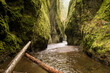 © Tandem Stock - The striking beauty of the Oneonta Gorge slot canyon in the Columbia River Gorge outside of Portland Oregon.