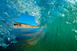© Tandem Stock - Beach break tubes on a glassy Friday afternoon at Jalama Beach, Central California