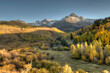 © Tandem Stock - Fall colors on County Road 7 in Southern Colorado
