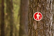 © Tandem Stock - A hiking trail blaze/placard is seen on a pine tree near the Chesapeake Bay near Grasonville, Md.