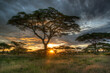 Sunrise near Lake Ndutu in the Ndutu Conservation Area in Tanzania