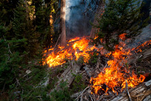 Fire Blazes In Washington State