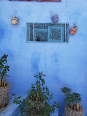 blue wall exterior