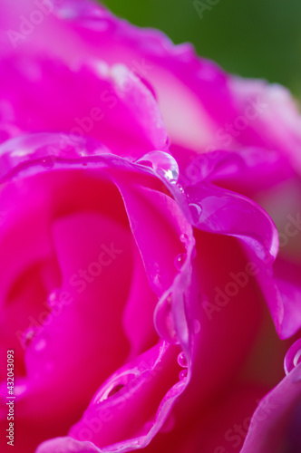 46 3 Ardour Wall Murals Canvas Prints Stickers Wallsheaven