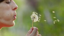 Slow Motion Footage Of Female Blowing Dandelion Outside At Sunset