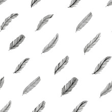 Hand Drawn Rustic Ethnic Decorative Feathers. Vector Seamless Pattern. Tribal Bird Feathers Ornament. Vector Ink Illustration Isolated On White Background. Ethnic Boho Style Hand Drawing