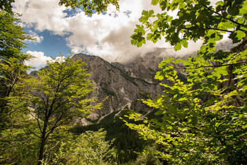 Wall Mural - Mesmerizing view of a beautiful mountainous landscape, Logarska Dolina, Slovenia