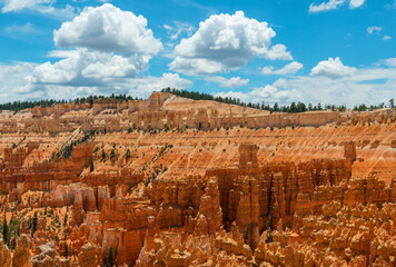 Wall Mural - Bryce Canyon landscape in summer with hoodoo rock formations, Bryce Canyon national park, Utah, United States of America, USA.