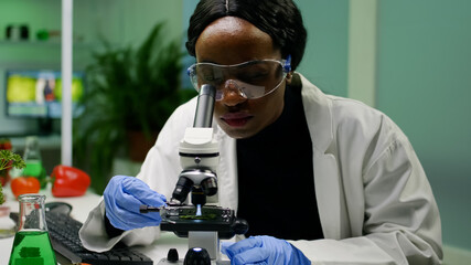 african researcher taking green leaf sample from petri dish putting under microscope observing genet