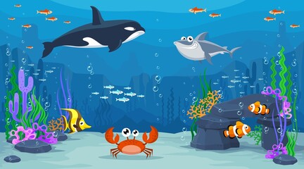 Design Shark and under sea Background 