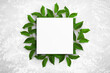 © Diana Kovach - Composition of empty white square watercolor sheet of paper and green leaves on a light gray concrete background. Advertising board, mockup on the wall. Flat lay, top view, copy space