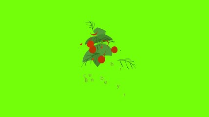 Poster - Bunchberry icon animation cartoon object on green screen background