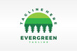evergreen tree logo